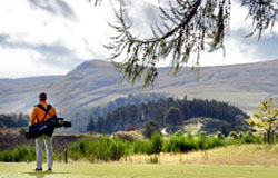 Value of golf tourism up by 30 per cent in past decade