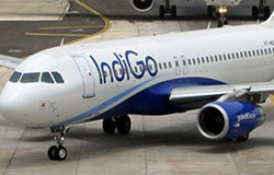 IndiGo