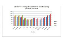 India witnesses 7.9% growth in FTAs from January to June 2018 YOY