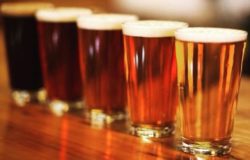 New beer varieties bring taste of Zim to tourists