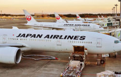 JAL allows flights to be booked further in advance