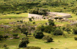 Great Zimbabwe sees increase in visitor numbers