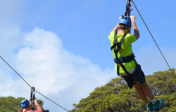 Canadian dies in Thailand ziplining accident