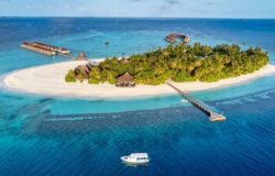 Maldives ban on tourist arrivals