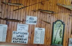 Bulgaria reopens restaurants on March 1